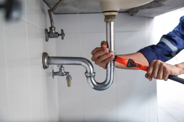 Best Commercial Plumbing Services  in Moroni, UT